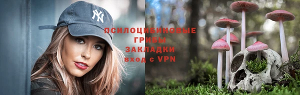 ешки Новокубанск