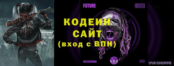 спиды Новодвинск