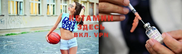 спиды Новодвинск