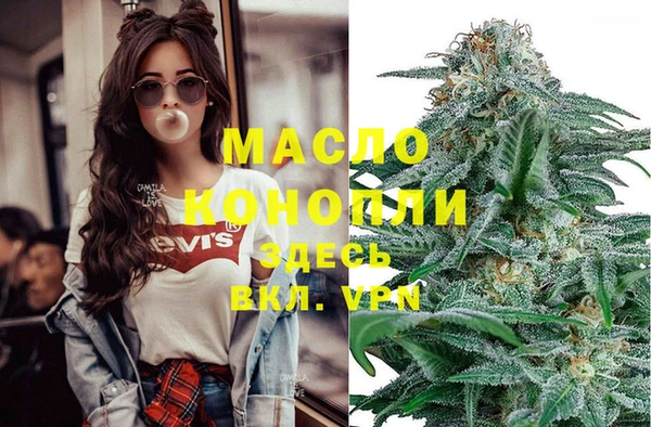 спиды Новодвинск