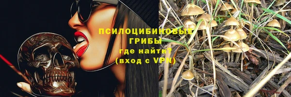 ешки Новокубанск