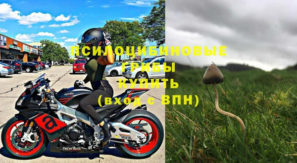 спиды Новодвинск